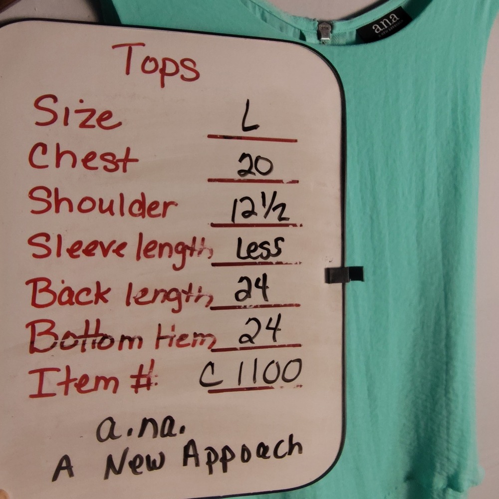 a.n.a A New Approach Mint Green Tiered Sleeveless Tank Top Blouse Back Zip Large - Picture 3 of 10